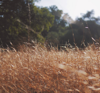 江西队客场惨败广东，遭遇六连败