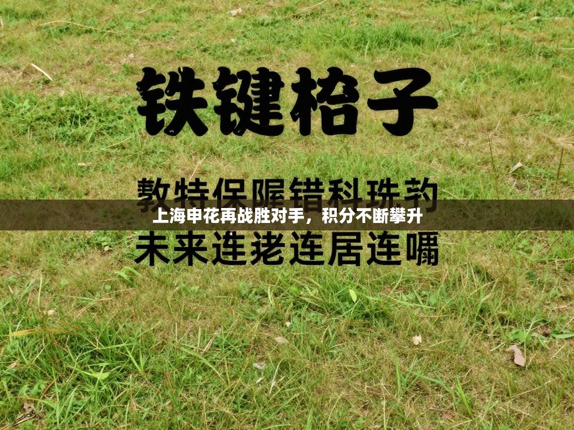 上海申花再战胜对手，积分不断攀升  第1张