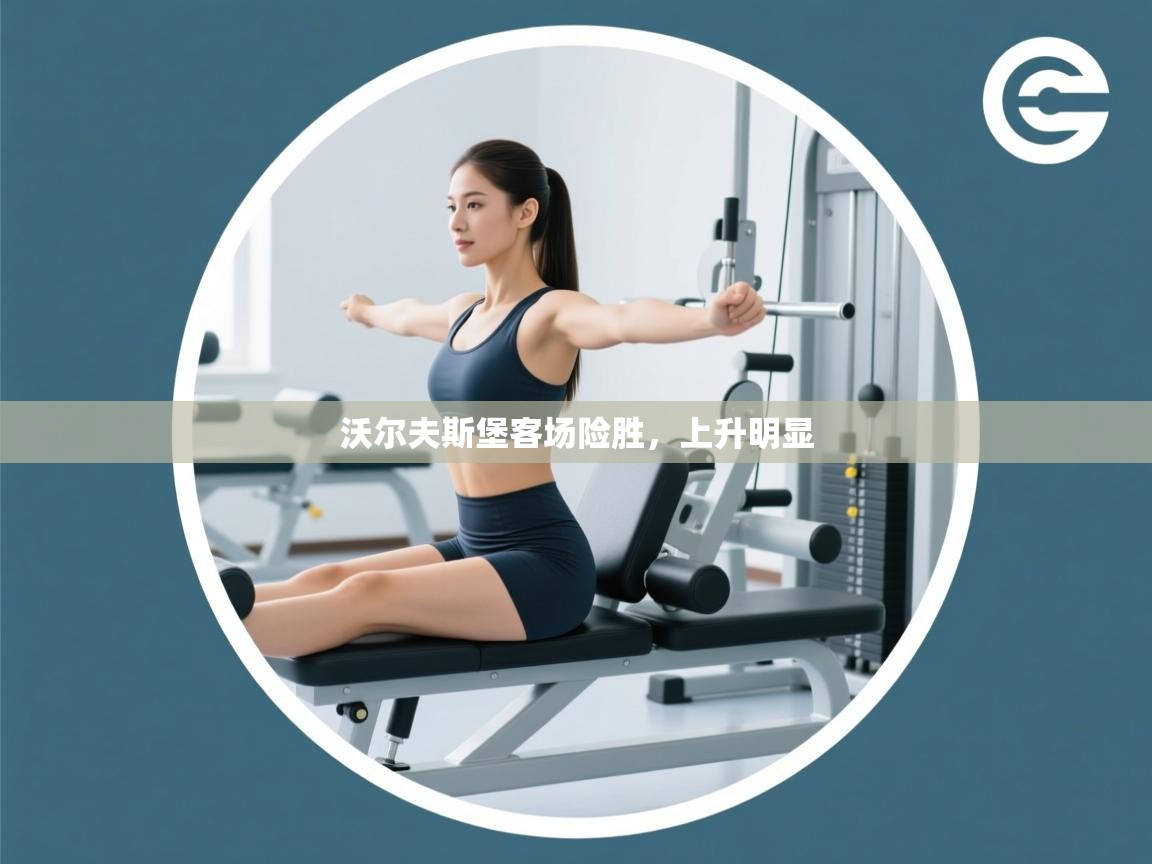 沃尔夫斯堡客场险胜，上升明显