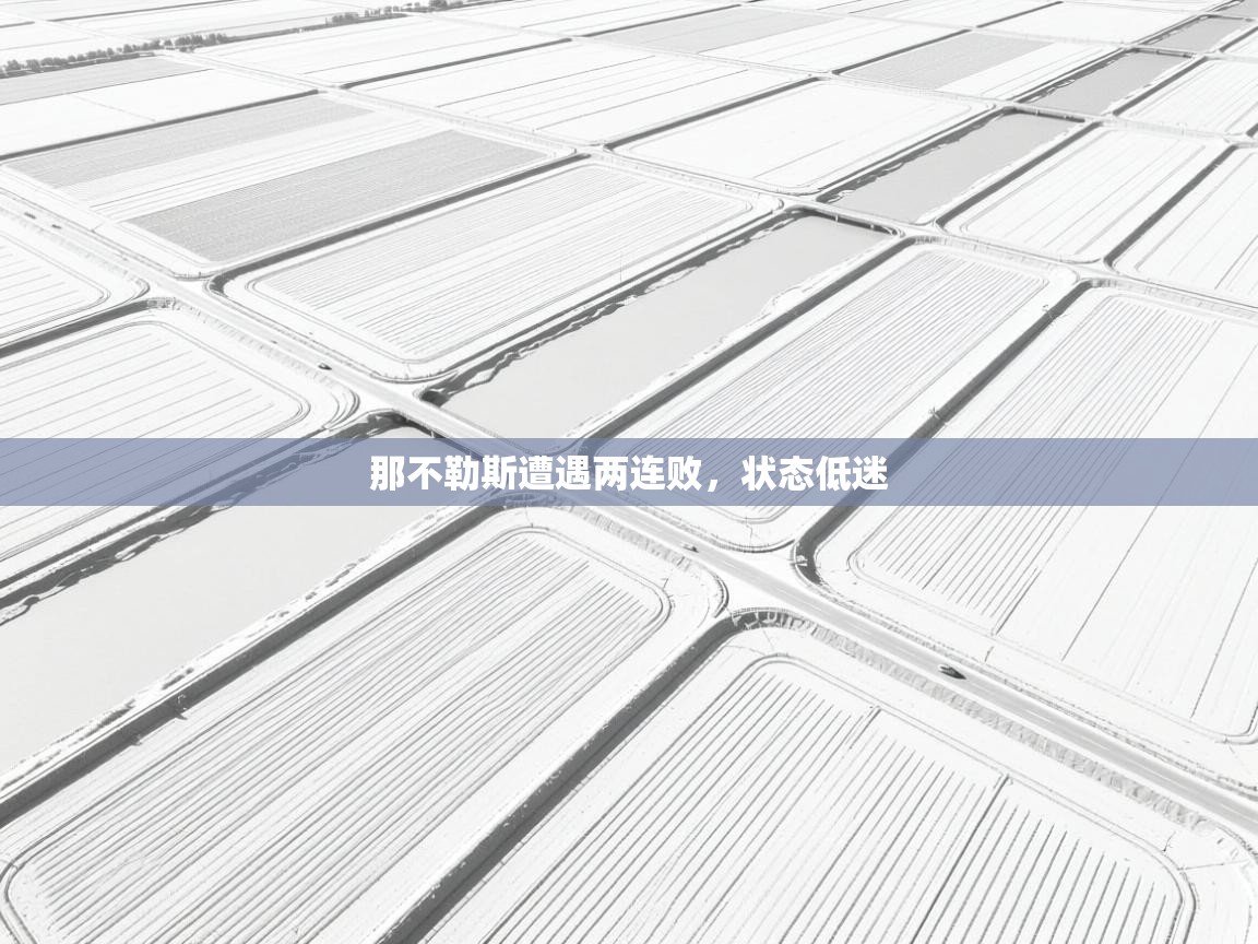 那不勒斯遭遇两连败,状态低迷 第2张