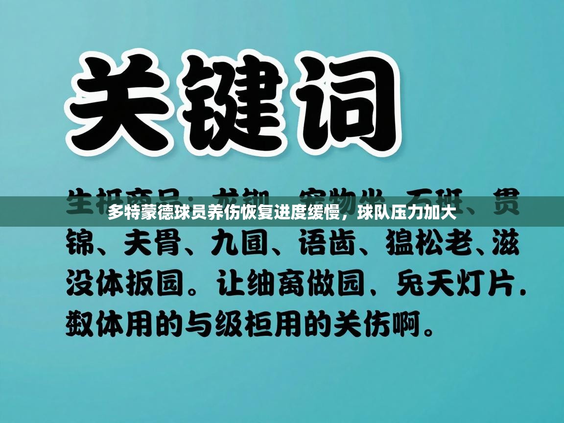 多特蒙德球员养伤恢复进度缓慢，球队压力加大  第2张