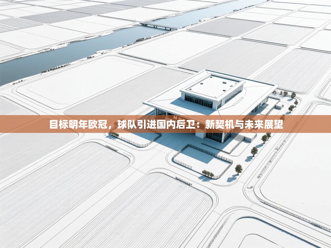 目标明年欧冠，球队引进国内后卫：新契机与未来展望  第1张