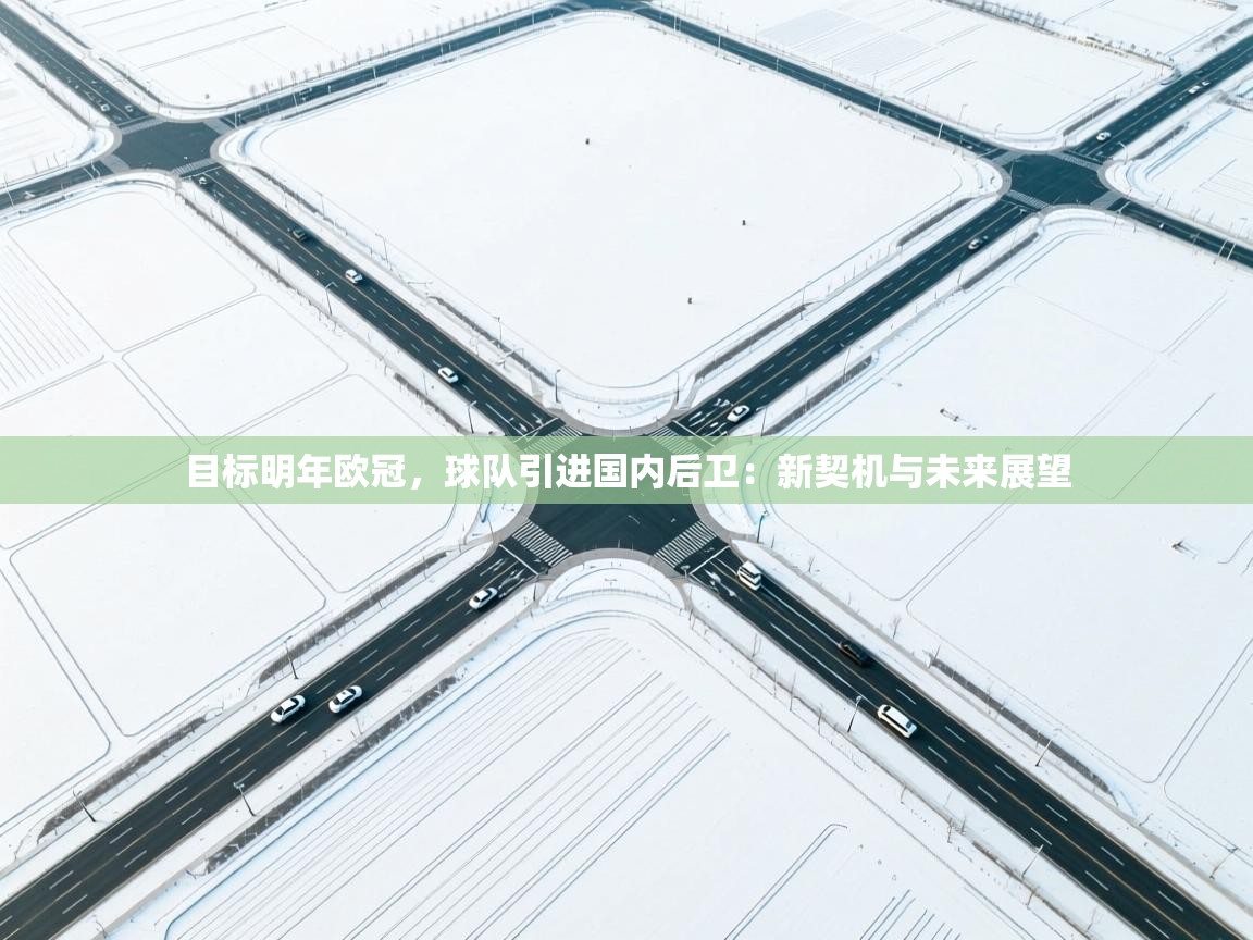 目标明年欧冠，球队引进国内后卫：新契机与未来展望  第2张