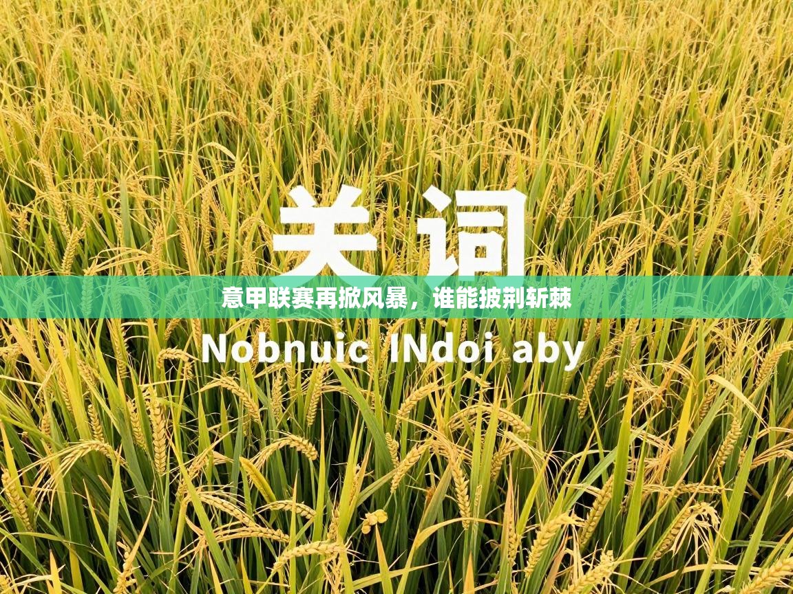 意甲联赛再掀风暴,谁能披荆斩棘 第1张