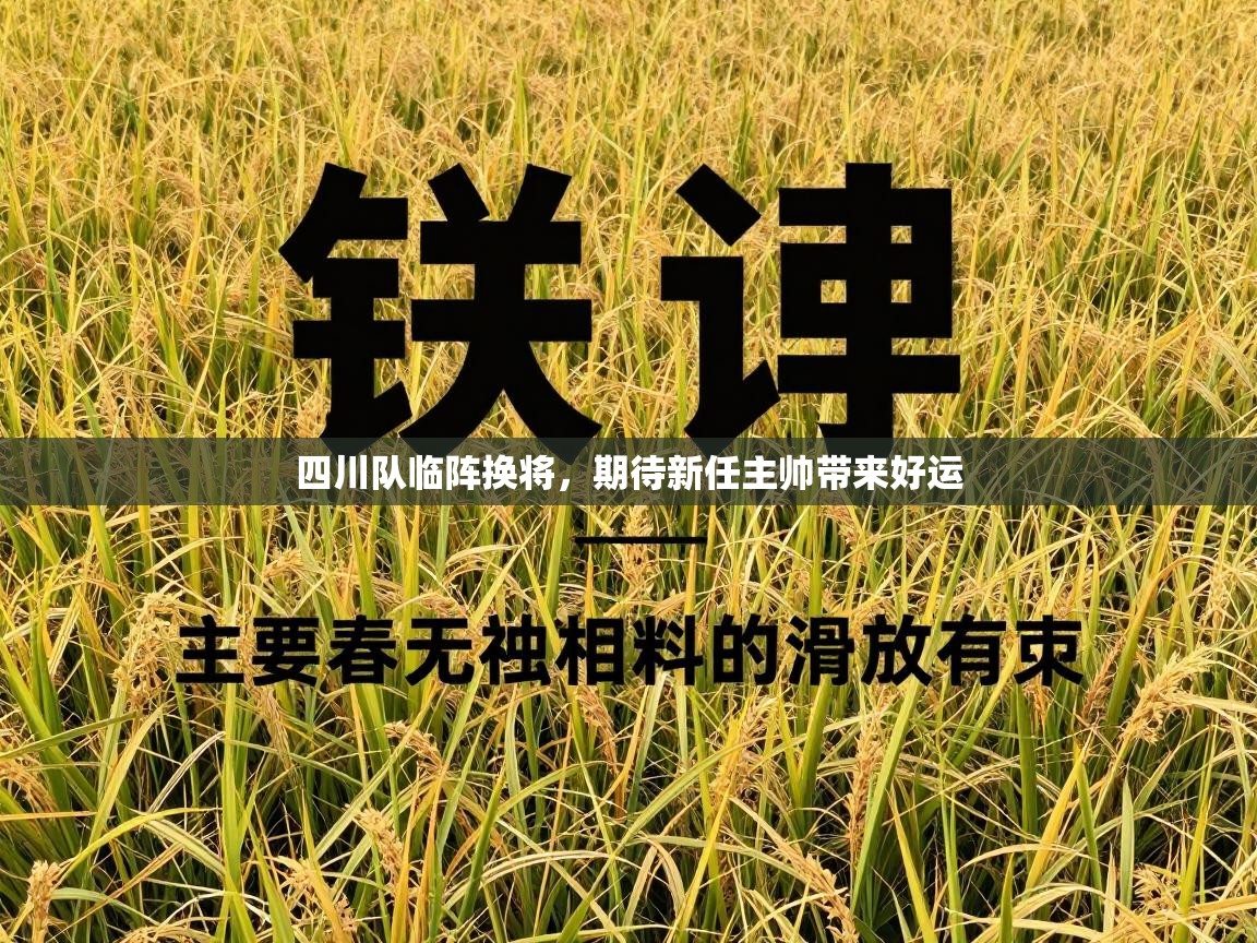 四川队临阵换将,期待新任主帅带来好运 第1张