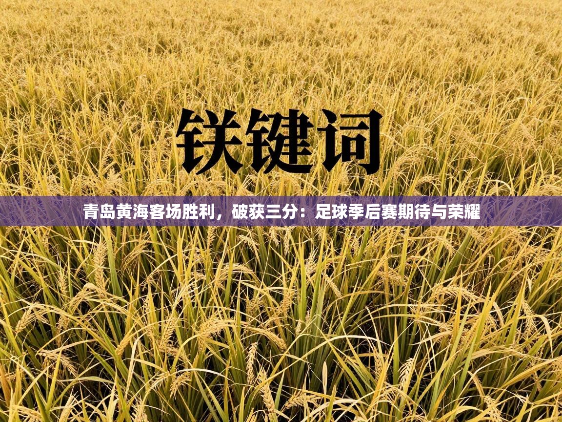 青岛黄海客场胜利,破获三分:足球季后赛期待与荣耀 第1张